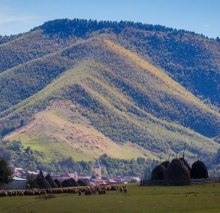 Picturesque Village In Transylvania Răşinari Δωμάτιο φωτογραφία