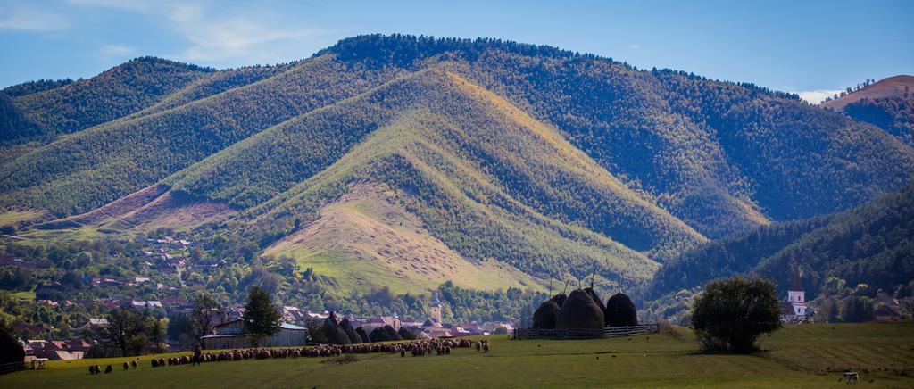 Picturesque Village In Transylvania Răşinari Δωμάτιο φωτογραφία